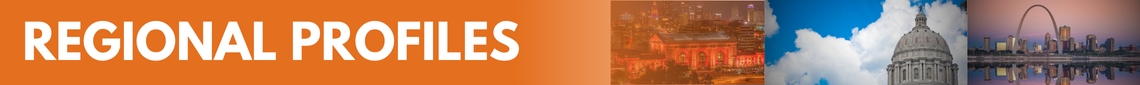 Regional Profiles header image